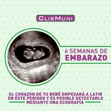 A la tensión del pecho y las ganas de orinar constantes (polaquiuria), se les suma un cansancio poco habitual. Facebook