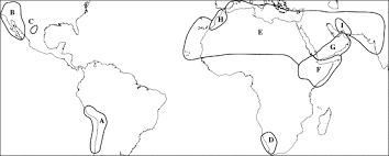 Image result for Fagonia isotricha