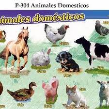 Stream Sonidos Onomatopeyicos De Animales De La Granja By User 821461918 Listen Online For Free On Soundcloud