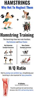 Hamstrings Workout Improve Hamstring Strength And Definition Gymguider Com Hamstring Workout Exercise Hamstrings