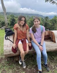 Image result for Emiliella