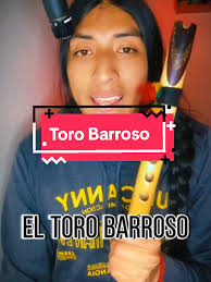 El Toro Barroso: Canción Tradicional Ecuatoriana