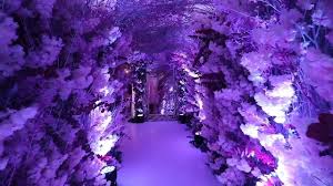 XV años Melanie 👸🏼!, 📍Bacamacari,...