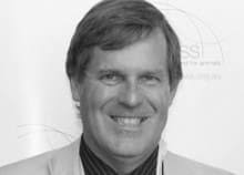 Live animal exporters 'can't be touched' for sheep losses under federal law 