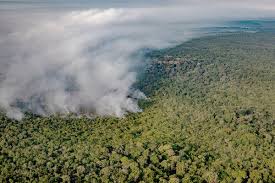 Amazon brazil's best free dating site! Bolsonaro Seeks International Funding For Amazon Protection The New York Times