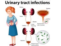 Maybe you would like to learn more about one of these? Suffering From Uti Home Remedies By Rujuta Diweka May Help Relieve Symptoms Thehealthsite Com