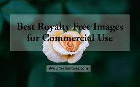 Best Royalty Free Images For Commercial Use Websites For Stockimages Image attribution is required basic search by keywords.