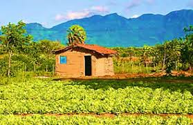 Todos tentando entender como votaram em bolsonaro e acabaram alçando ciro nogueira a. Agricultura Familiar A Agricultura Familiar No Brasil Mundo Educacao
