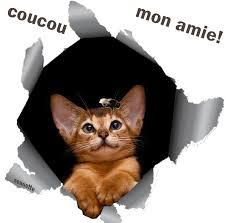 Résultat de recherche d'images pour "gifs gratuits bisous coucou chatons humour"