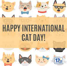 These furry creatures are friendly and sweet. Happy International Cat Day Share 13news Now Wvec Facebook