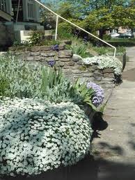 Pin By Romantic Domestic On Divine Exterior Design Plants Lawn And Garden Outdoor Gardens