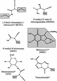 Image result for Alkylating Agent