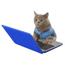 Share a gif and browse these related gif searches. Aaron S Animals Cat Typing