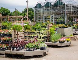 Florist in virginia beach va, best prices on delivered flowers, hilltop florist va beach, florists in virginia beach, becky's floral, florist long beach california, local florist. Locations Mcdonald Garden Center