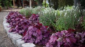This small space is teaming with a plethora of flowers and plants. Planting A New Flowerbed Garden Answer Youtube