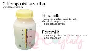 Ibu2 sekalian, jom kita kuat untuk menyusukan anak kita sepenuhnya. Nak Susu Pekat Fahami Komposisi Susu Ibu Cozy Lady