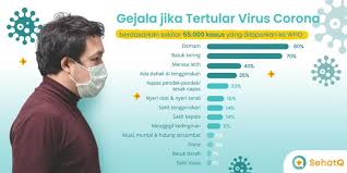 Catat Ini Gejala Virus Corona Yang Harus Diwaspadai Halaman All Kompas Com