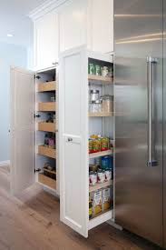 Gorgeous Kitchen Pantry Cabinet India On This Favorite Site Kitchen Wall Storage Pantry Wall Kitchen Wall Storage Cabinets