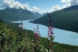 Drinking water and wastewater infrastructure: Awwu Overview Anchorage Water And Wastewater Utility