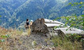 How to achieve emotional detachment from trading? Helping Someone With Emotional Detachment Confront The Void Evolution Counseling