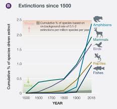 A Million Species Are At Risk Of Extinction Humans Are To Blame Species Extinction Biodiversity Extinction
