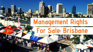 Mr For Sale Brisbane Management How To Find Out Things To Sell