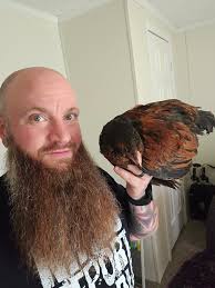 New to backyard chicken farming