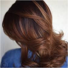 28 Cinnamon Hair Color With Caramel Highlights Picture Cinnamon Hair Colors Cinnamon Brown Hair Hair