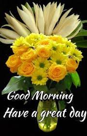 510 Yellow flowers ideas | good morning flowers, yellow flowers, good morning greetings