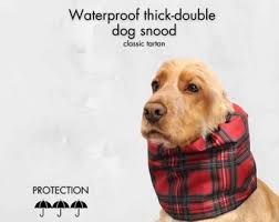 Cet article n'est pas disponible