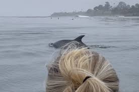 Monterey Bay Swimming Association