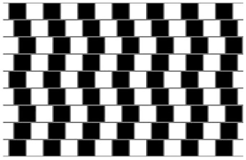 Amazing Optical Illusions Explained Ilusao De Otica Desenho De Ilusao De Otica Ilusao Optica