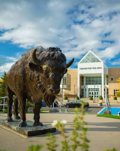 Campus views you'll soon know by heart 💙🔜 #UBuffalo #UBTrueBlue Baird  Point 🏛️ Hayes Hall ⏰ Bronze Bison 🦬 Capen Hall 📚 Ellicott Complex 🏡