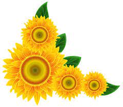Sunflower Corner Decoration Png Clipart Image Clip Art Borders Flower Border Clipart Clip Art
