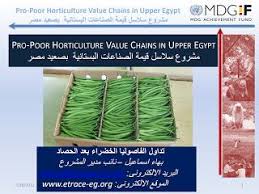 معاملات ما بعد الحصاد للفاصوليا الخضراء حتى التصدير outdoor blanket blog posts beach mat