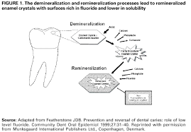 recommendations for using fluoride to prevent and control