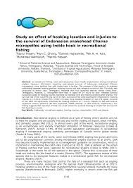 Rpp k13 kelas iii revisi terbaru semester 2 tahun 2018. Pdf Study On Effect Of Hooking Location And Injuries To The Survival Of Indonesian Snakehead Channa Micropeltes Using Treble Hook In Recreational Fishing