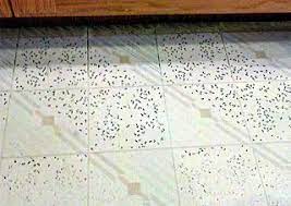 Getting Ground In Dirt Off Of Vinyl Flooring Cleaning Hacks Clean Linoleum Floors Carpet Cleaning Hacks