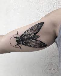Moth For Sonny Thanks Again Shawntriple6 Moth Mothtattoo Dots Dotwork Dotworktattoo Blackwork Blacktattoo Btattooin Moth Tattoo Moth Tattoos Tattoos