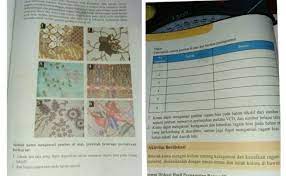 Jawaban dari latihan 7 2 mtk hal 129 130 semester 2 adalah bersama. Kunci Jawaban Buku Seni Budaya Kelas 7 Halaman 130 Daftar Harga Hp Smartphone Murah Terbaru