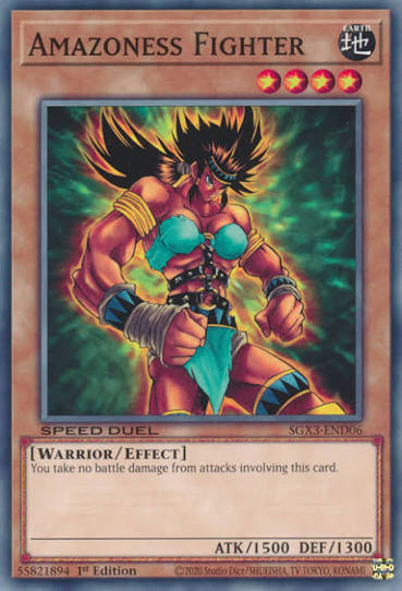 Amazoness Fighter - Yugipedia