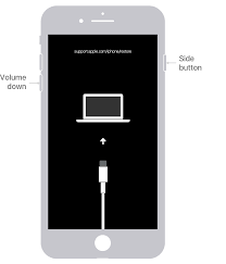 It is the only way in which you can transfer and sync things like music or videos between the two devices. If You Forgot The Passcode On Your Iphone Or Your Iphone Is Disabled Apple Support Bh