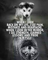 Pin By Anazu Karnaosa On Ahhhhh Moments Warrior Quotes Lone Wolf Quotes Wolf Pack Quotes