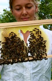 Team 1 — Keiki O Kahawai ~ Hāmākua Forest School