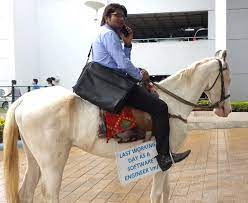 Does your mother cook cakes? Techie Rides A Horse To Office On Last Day Of Work Deccan Herald