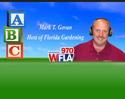 This whitefly appears to have a very broad. How To Grow Olive Trees In Central Florida Abc Pest Control Inc