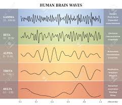 Human Brain Waves Diagram Chart Illustration En Franais
