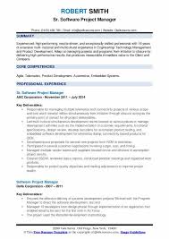 This will go a long way to. Software Project Manager Resume Samples Software Project Requirements Template Insymbio