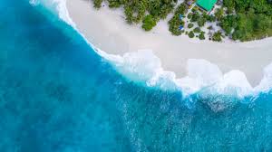 For more information on bioluminescence check out smithsonain's page on it. Top 10 Beaches In Maldives For A Romantic Getaway