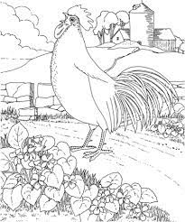 coloriage poule et violette du rhode island coloriages a imprimer gratuits bird coloring pages books superbe de mariage